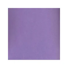 EVA ESCOLAR 40 X 60 CM LISO LILÁS/ROXO