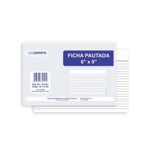 FICHA PAUTADA 6 X 9 C/ 100 UN 4041 SIDGRAPH