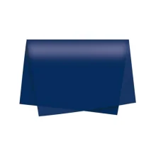 SEDA ESCOLAR 48 X 60 CM AZUL ESCURO