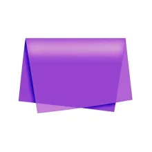 SEDA ESCOLAR 48 X 60 CM ROXO