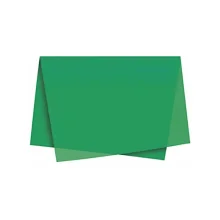 SEDA ESCOLAR 48 X 60 CM VERDE BANDEIRA