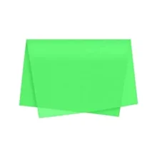 SEDA ESCOLAR 48 X 60 CM VERDE CLARO