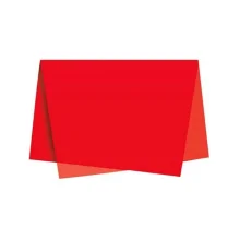 SEDA ESCOLAR 48 X 60 CM VERMELHA