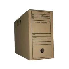 ARQUIVO MORTO GIGANTE PAPELAO LC