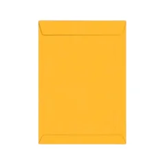 ENVELOPE 24 X 34 CM OURO 80G C/ 250 UN SKO34 REIPEL