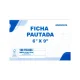 FICHA PAUTADA 6 X 9 C/ 100 UN 10041 ANIMATIVA