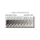 LÁPIS GRADUADO REGENTE 4B 9000 FABER CASTELL