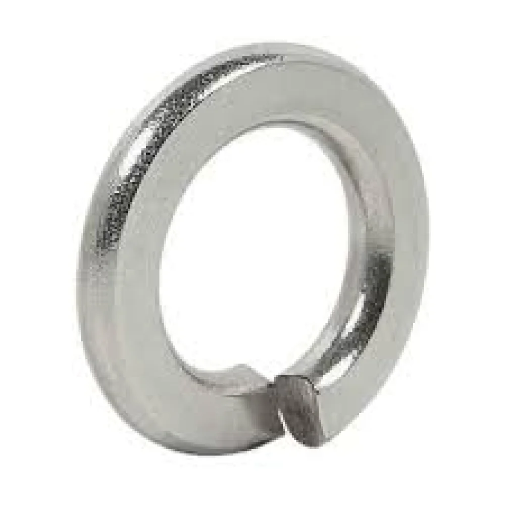Arruela de Pressão Inox Polegada