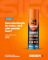 Descarbonizante Sieger