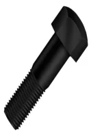 Parafuso Esteira com Porca Sextavada