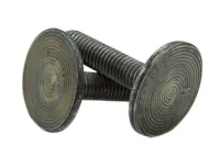 Parafuso para Correia Elevadora com Porca Sextavada Unc Parafuso para Correia Elevadora com Porca Sextavada Unc