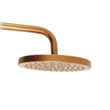 Ducha Redonda Cor Rose Abs 20x20 Real/Delta