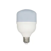 Lâmpada LED Bulbo 20W Bivolt 6500K Luz Branca