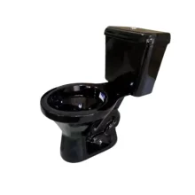 Vaso Sanitário Com Caixa Acoplada 3/6l Araxá Preto Santa Clara