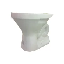 Vaso Sanitário Convencional Araxá Branco Santa Clara