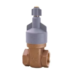 Base para Registro de Gaveta Bruto 3/4 DN20 Deca