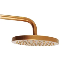 Ducha Redonda Cor Rose Abs 20x20 Real/Delta