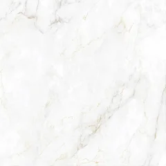 Piso Premium Acetinado Reinaldo A 74x74 Inout