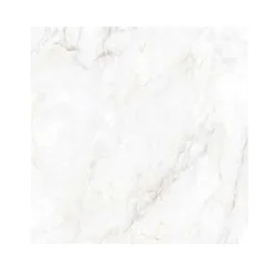 Piso Premium Adriano 70000 CX 219 74X74 Rt Polido Inout