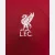 Camisa Nike Liverpool Oficial I 2023/24 Torcedor Pro Masculina