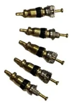 Nucleo de Valvula R12 [Pacote com 10 peças]