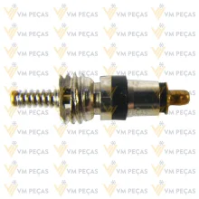 Nucleo de Valvula R12 Linha Fiat 5v1 [Pacote com 10 peças]