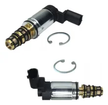 Valvula Torre Mahle Fiat Toro /Jeep Renegade, Compass [ACPX32] [Original]