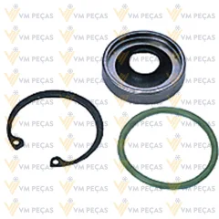 Selo Delphi V5, V6 [Vedaçao Simples] Linha Chevrolet