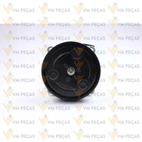 Compressor Seltec TM16, Orelha, 2A, 24v, Flex com Adaptador Vertical [importado]