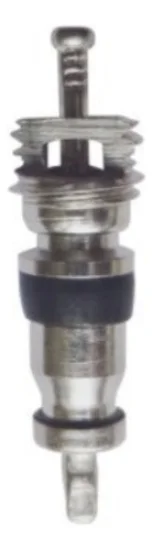 Nucleo de Valvula R12 [Pacote com 10 peças]