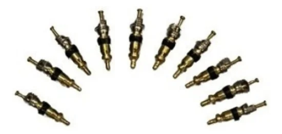 Nucleo de Valvula R12 [Pacote com 10 peças]