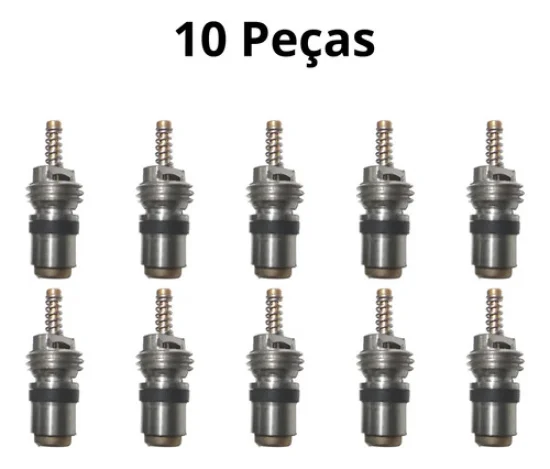 Nucleo de Valvula Peugeot, Renault [Pacote com 10 peças]