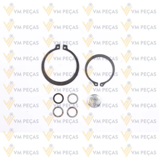 Conjunto de Embreagem Sanden TRS90 Honda Fit 2009> 5pk 112mm [importado]