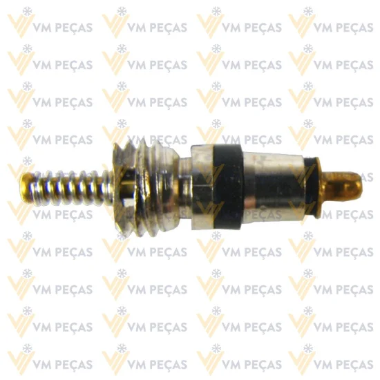 Nucleo de Valvula R12 Linha Fiat 5v1 [Pacote com 10 peças]