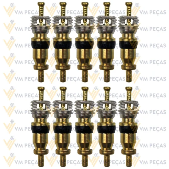 Nucleo de Valvula R12 [Pacote com 10 peças]