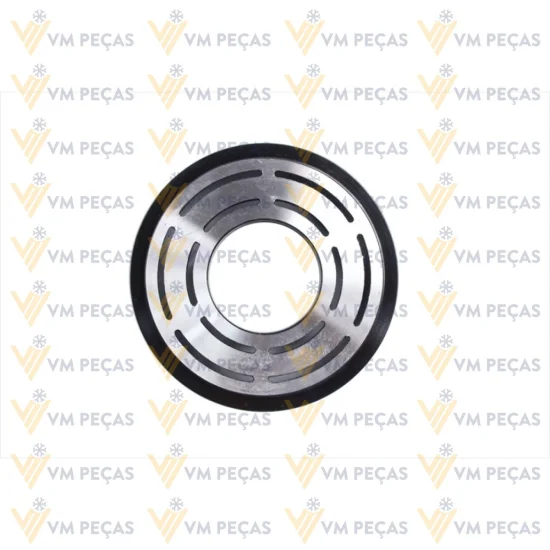 Polia Sanden SD7H15, 8pk 119mm [importado]