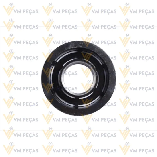 Polia Sanden SD7H15, 8pk 119mm [importado]
