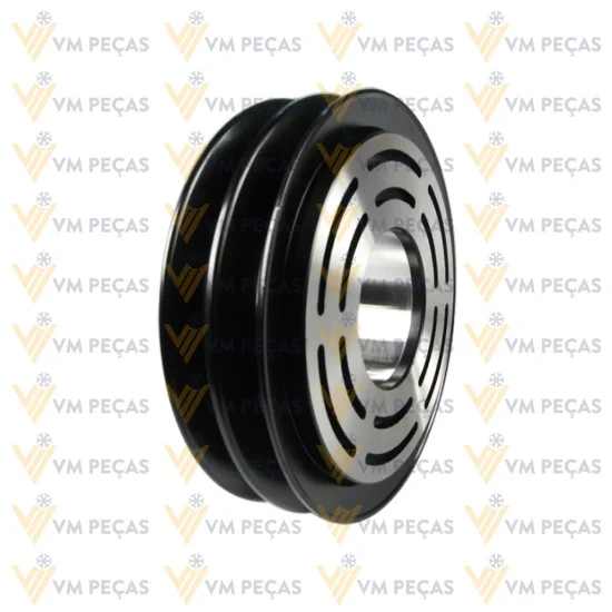 Polia Seltec TM21 2A [importado]
