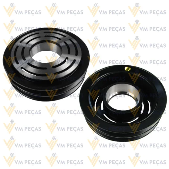 Polia Seltec TM21 2A [importado]
