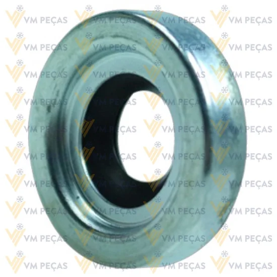Selo Delphi V5, V6 [Vedaçao Simples] Linha Chevrolet [Kit]