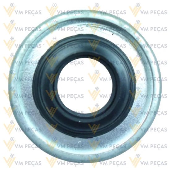 Selo Delphi V5, V6 [Vedaçao Simples] Linha Chevrolet [Kit]