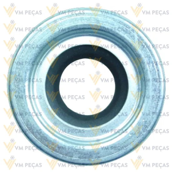 Selo Delphi V5, V6 [Vedaçao Simples] Linha Chevrolet [Kit]