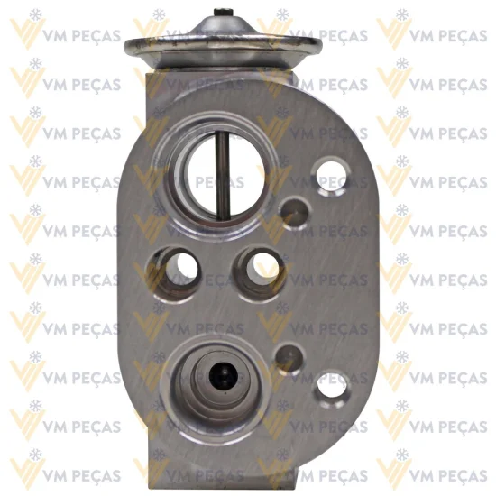 Valvula de Expansao BMW X1, 116, 118, 120, 130, 316, 320, 325, 328, 330 2009>