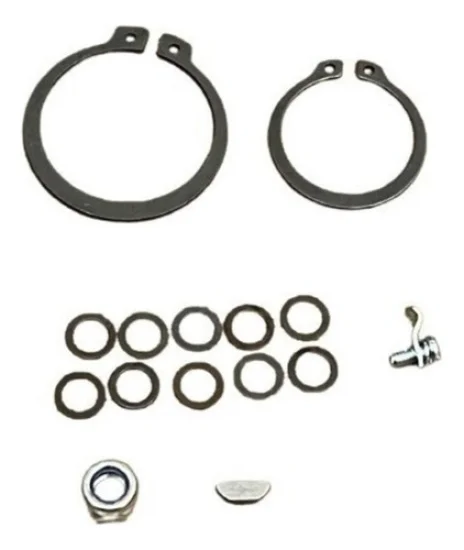 Conjunto de Embreagem Sanden SD7H15 Scania 10pk 24v [importado]