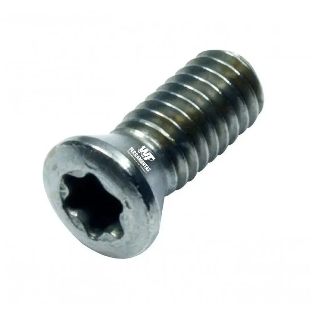 PARAFUSO 5513.020.03 (M2,5 CINZA)