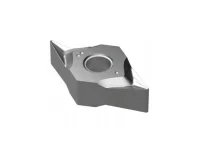 DNGG 110404 NS LT 05