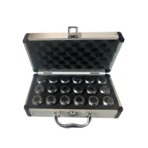 Jogo De Pinças ER32 Com 18 peças 3 a 20mm Wtools